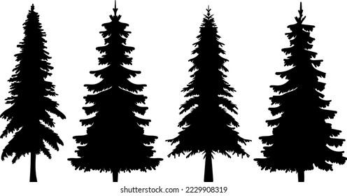 spruce silhouette, fir tree set design vector