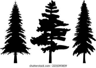 spruce silhouette, fir trees nature design