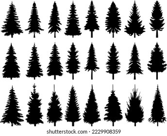 spruce silhouette, fir trees set design vector isolated