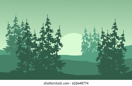 Spruce silhouette on the hill landscape