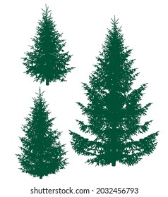 Spruce silhouettes isolated on white - Christmas trees for natural design