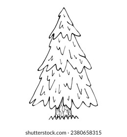 Spruce-Skizze. Nadelbaum. Waldnatur. Handgezeichnete Illustration.