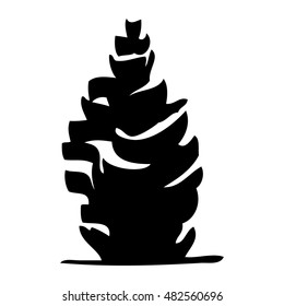 Spruce tree