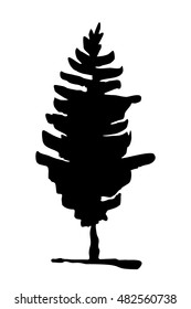 Spruce tree