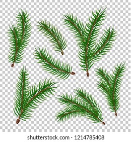 Spruce tree branches set. Vector evergreen realistic fir, pine tree elenents with green needles. Natural forest sprigs for christmas, new year holiday decorating, greeting card transparent background