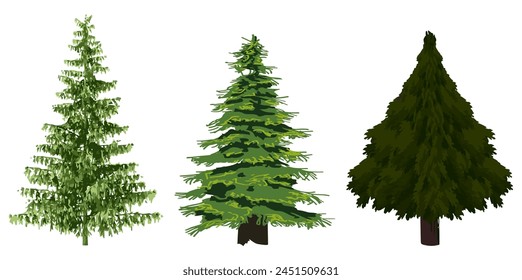 Spruce tree collection on white background.Set of spruce tree