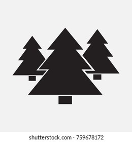 spruce tree, icon, eps10