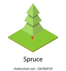 Spruce tree icon. Isometric illustration of spruce tree vector icon for web