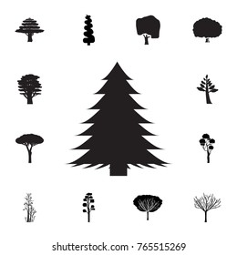 spruce tree icon. Set of silhouette of tree icons. Web Icons Premium quality graphic design. Signs, outline symbols collection, simple icons for websites, web design, mobile app on white background