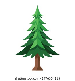 Spruce tree isolated on white
