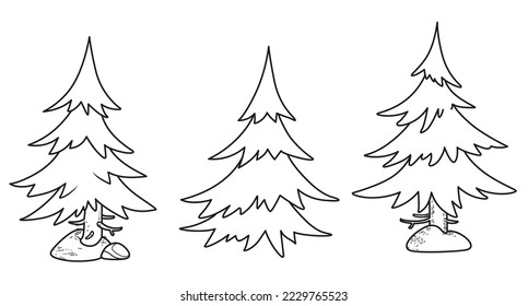 Spruce tree outlined variation for coloring page isolated on white background