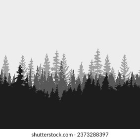 Spruce tree silhouette. Pine tree silhouette