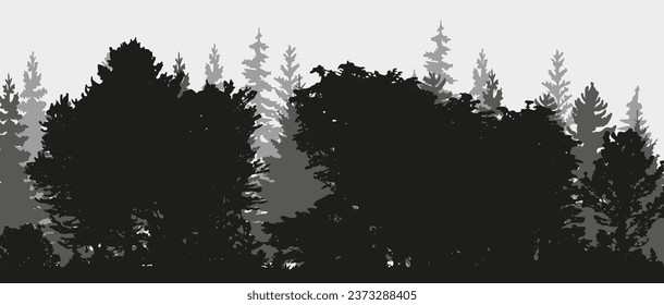 Spruce tree silhouette. Pine tree silhouette