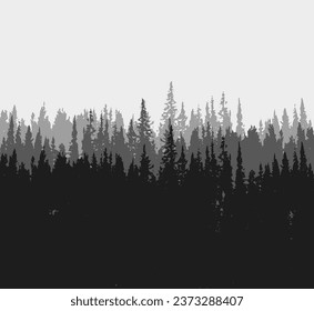 Spruce tree silhouette. Pine tree silhouette