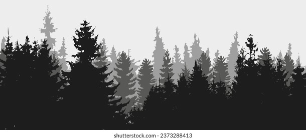 Spruce tree silhouette. Pine tree silhouette