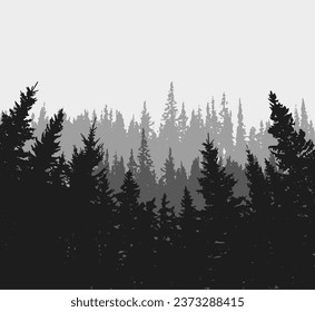Spruce tree silhouette. Pine tree silhouette
