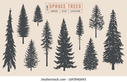 Spruce tree silhouette vector illustration hand drawn