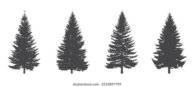 silhuetas de abetos. Natal, Ano Novo e elementos de design da natureza. conífera imagens vetoriais isoladas em estilo simples