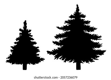 Spruce Tree Silhouettes Vector Isolated Illustration Stock Vector ...