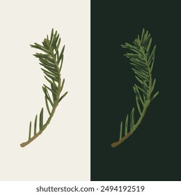 Spruce tree small branch on white, dark background. Fir twig with green needles. Image trace, cleaned and simplified illustration. Realistic style. Not AI.