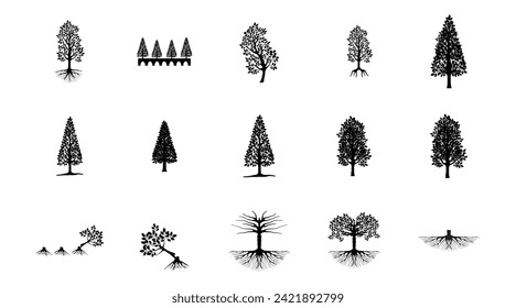 SPRUCE tree vector icon SET 