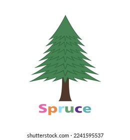 spruce tree vector illustration, spruce vector art with colored "spruce" lettering