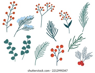 Christmas floral collection with winter decorative plants and flowers. Cute  hand drawn in scandinavian style. Illustration of winter berries and  Christmas branches. Stock Vector