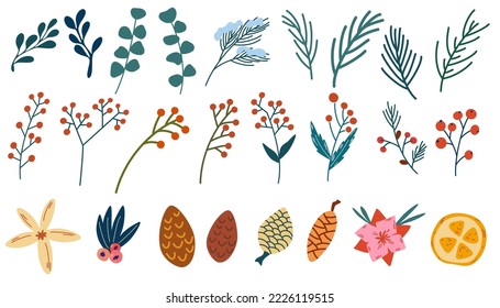 Spruce twig, berries and cones set. Winter plants. Christmas foliage twigs branches red berries. Pine, spruce, fir tree branches and cones, rowan, rosehip berries. Nature botanical elements. Vector