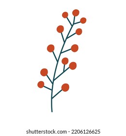 Spruce twig, berries and cones. Winter plants. Christmas foliage twigs branches red berries. Pine, spruce, fir tree branches and cones, rowan, rosehip berries. Nature botanical elements. Vector