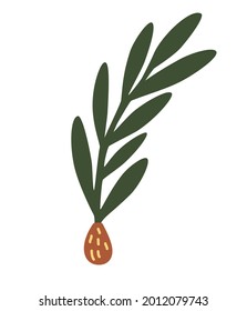 Rata prudente con cono. Sencilla rama verde minimalista de un picor con agujas. Árbol de Navidad. Decoración de vacaciones, símbolo de invierno. Planta floral elegante. Ilustración vectorial al estilo de las caricaturas planas.