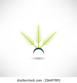 Spruce twig icon