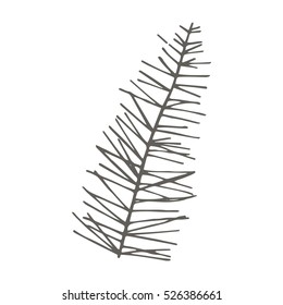spruce twig pattern vector
