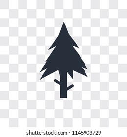 Spruce vector icon isolated on transparent background, Spruce logo concept