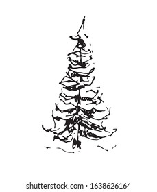 spruce vector  illustration. simple fir tree drawing isolated, blac and white. tree sketch