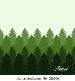 spruce Vintage forest tree design silhouette vector illustration