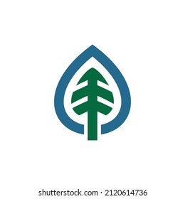 Spruce and waterdrop combination  in white background.vector logo design editable