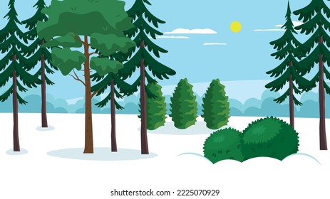 Spruces, cedros y arbustos en el bosque invernal