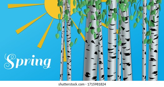 Spting illustration. Shape of birch, white and black on the background in paper style with shadows and 3d. Vector.