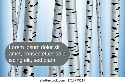 Spting illustration. Shape of birch, white and black on the background in paper style with shadows and 3d. Vector.