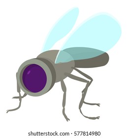 Spy fly icon. Cartoon illustration of spy fly vector icon for web