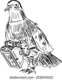Spy pigeon vector illustration and clip art, pigeon wearing spy gadgets, pigeon with web cam, pigeon carrying mail letter sketch drawing 