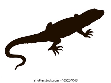 Squamate Lacertilia isolated on white background. Ink hand drawn picture sketchy in art retro style pen on paper. Closeup view with space for text
