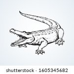 Squamate nile old giant rough scaly Crocodylia on white sand. Freehand outline dark black ink hand drawn zoo logo emblem pictogram sketchy in retro art doodle cartoon style pen on paper space for text