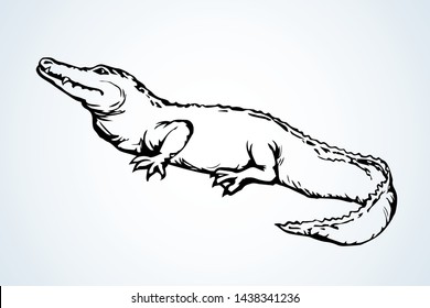 Squamate nile old giant rough scaly Crocodylia on white sand. Freehand outline dark black ink hand drawn zoo logo emblem pictogram sketchy in retro art doodle cartoon style pen on paper space for text