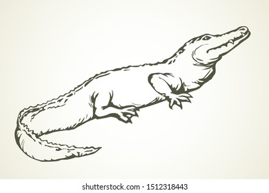 Squamate nile old giant rough scaly Crocodylia on white sand. Freehand outline dark black ink hand drawn zoo logo emblem pictogram sketchy in retro art doodle cartoon style pen on paper space for text