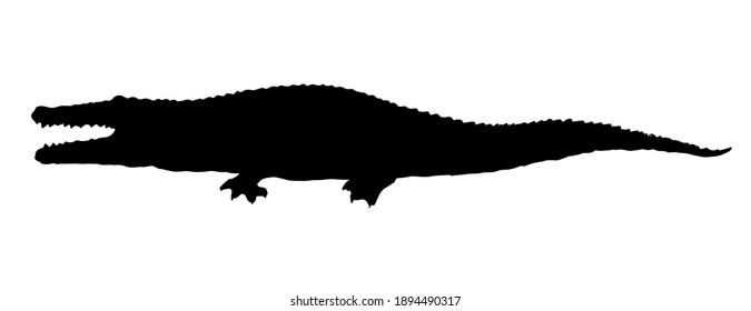 Squamate nile old giant rough scaly green Crocodylia paws on sand text space. Freehand outline dark black ink hand drawn zoo emblem pictogram design. Retro art doodle paper cartoon engrave print style