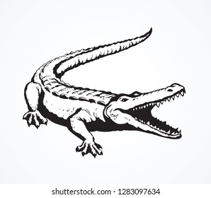 Squamate nile old rough scaly Crocodylia isolated on white background. Freehand outline ink hand drawn picture sign sketchy in art retro scribble style pen on paper. Closeup and space for text on sand