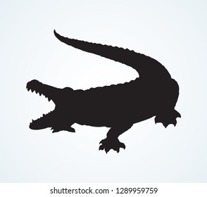 Squamate nile old rough scaly Crocodylia isolated on white background. Freehand outline ink hand drawn picture sign sketchy in art retro scribble style pen on paper. Closeup and space for text on sand