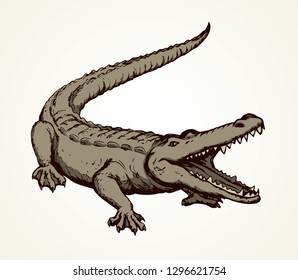 Squamate nile old rough scaly Crocodylia isolated on white background. Freehand outline ink hand drawn picture sign sketchy in art retro scribble style pen on paper. Closeup and space for text on sand