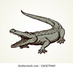 Squamate nile old rough scaly Crocodylia isolated on white background. Freehand outline ink hand drawn picture sign sketchy in art retro scribble style pen on paper. Closeup and space for text on sand